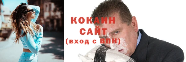 прущие грибы Осташков