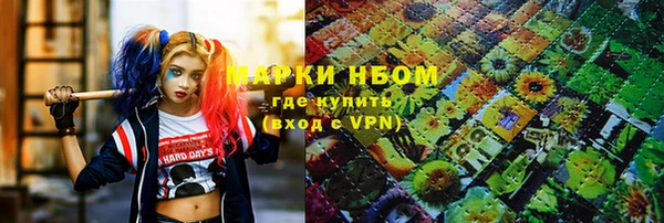 spice Няндома