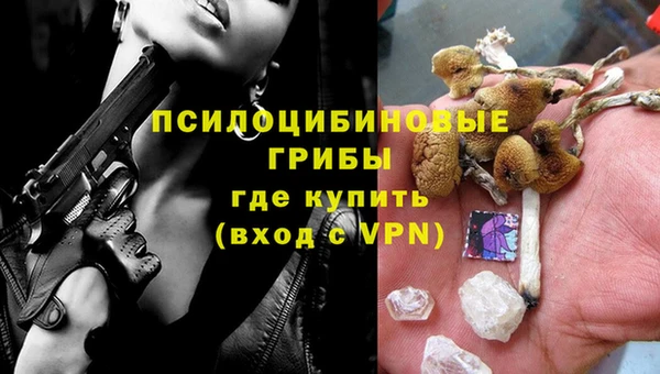 молекула духа Нязепетровск