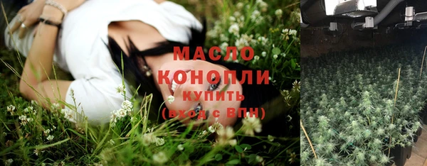 молекула духа Нязепетровск