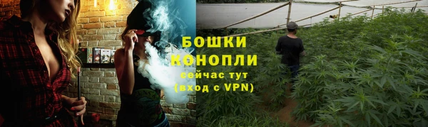 молекула духа Нязепетровск