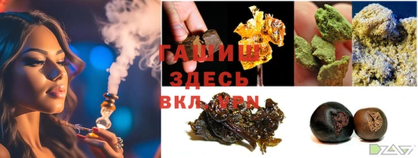 spice Няндома