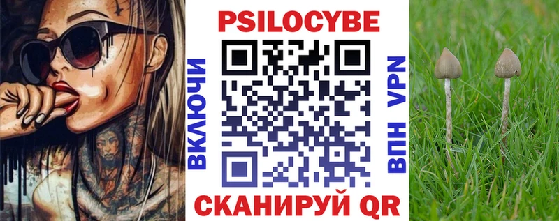 Псилоцибиновые грибы GOLDEN TEACHER  наркота  Полесск 